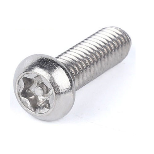 Özelleştirilmiş hırsızlık önleyici erik Torx cıvata vidası